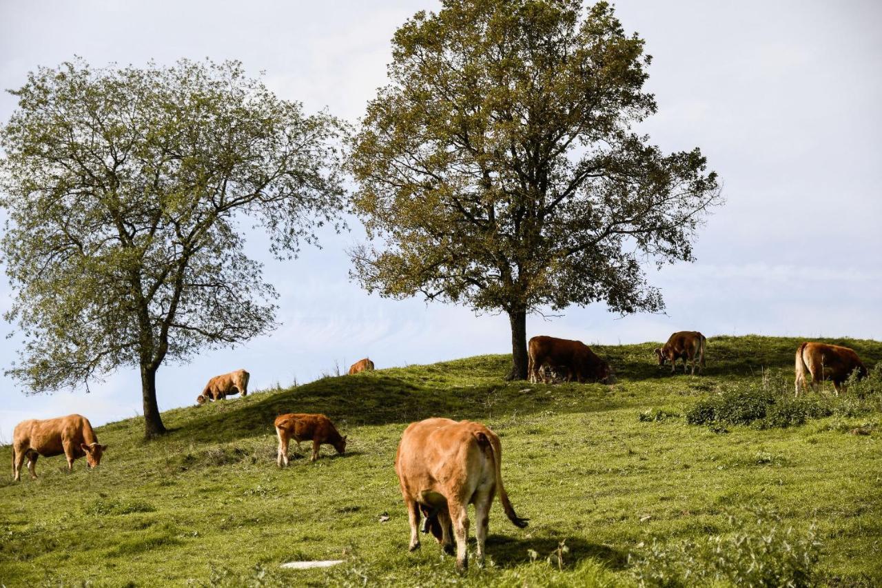 El Serradell Agroturisme Sant Joan de les Abadesses Kültér fotó